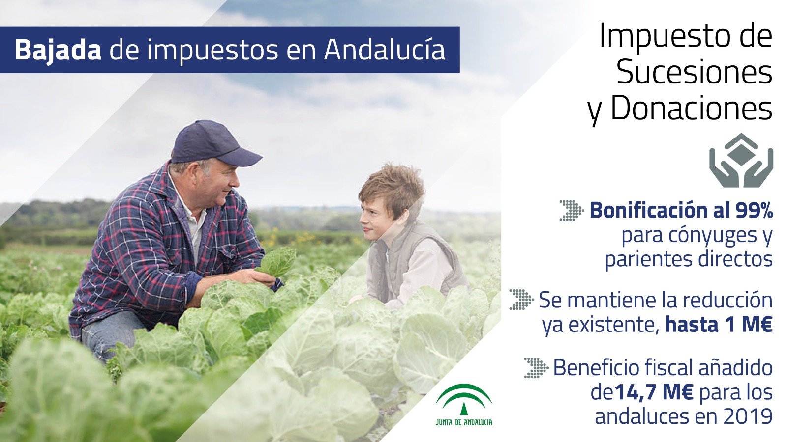 impuesto de sucesiones y donaciones en Andalucía